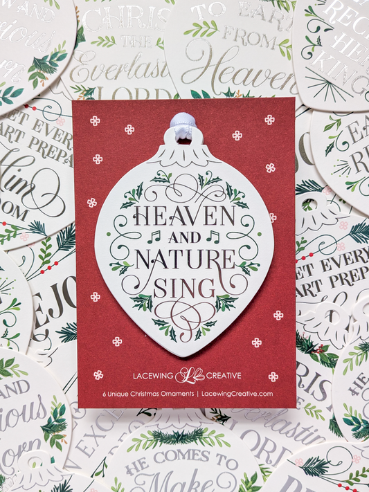 Silver Christmas Ornaments: Set of 24