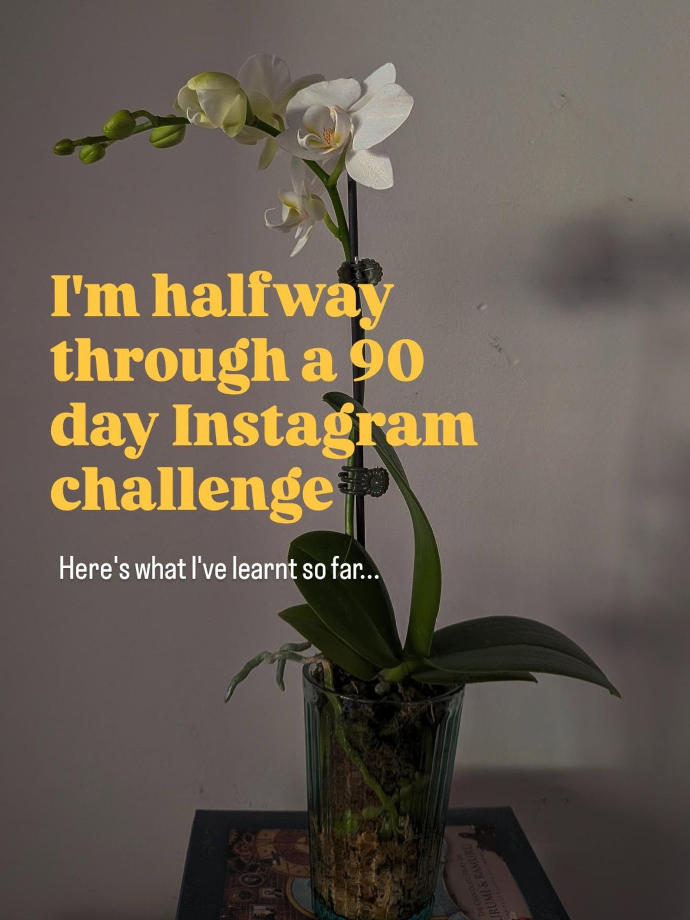 Image from Instagram