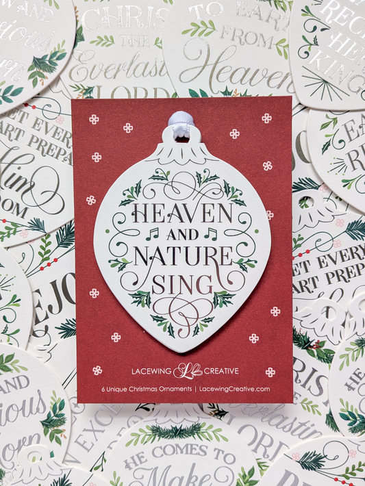 Christmas Ornaments - Silver Sparkle