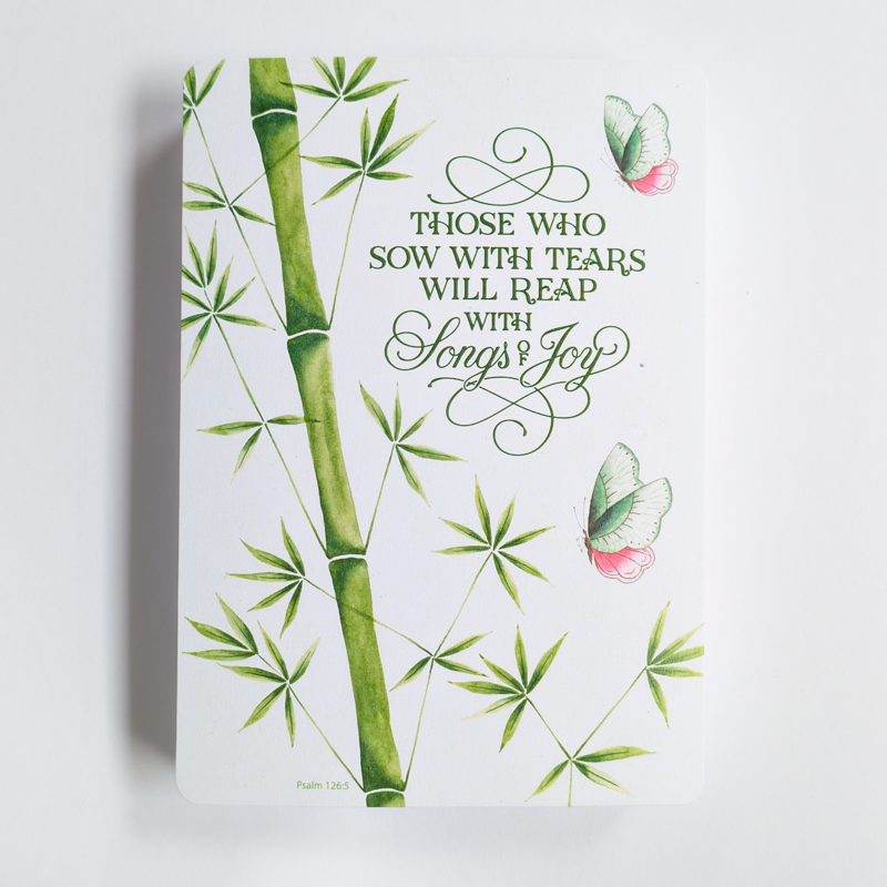 A Fruitful Year - 52 scripture cards